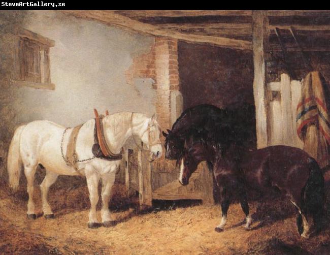 John Frederick Herring Three Horses in A stable,Feeding From a Manger